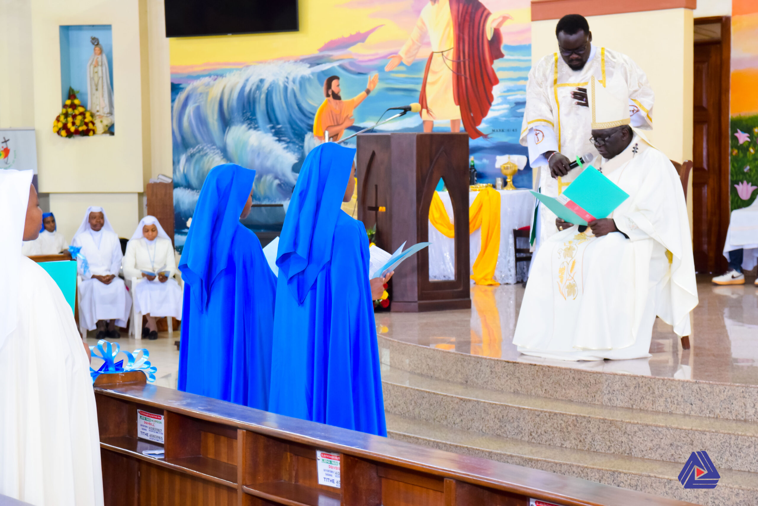 Hearts Consecrated: Sr. Maria Chikaodinaka and Sr. Maria Chizurum Make First Vows in the IHM Congregation